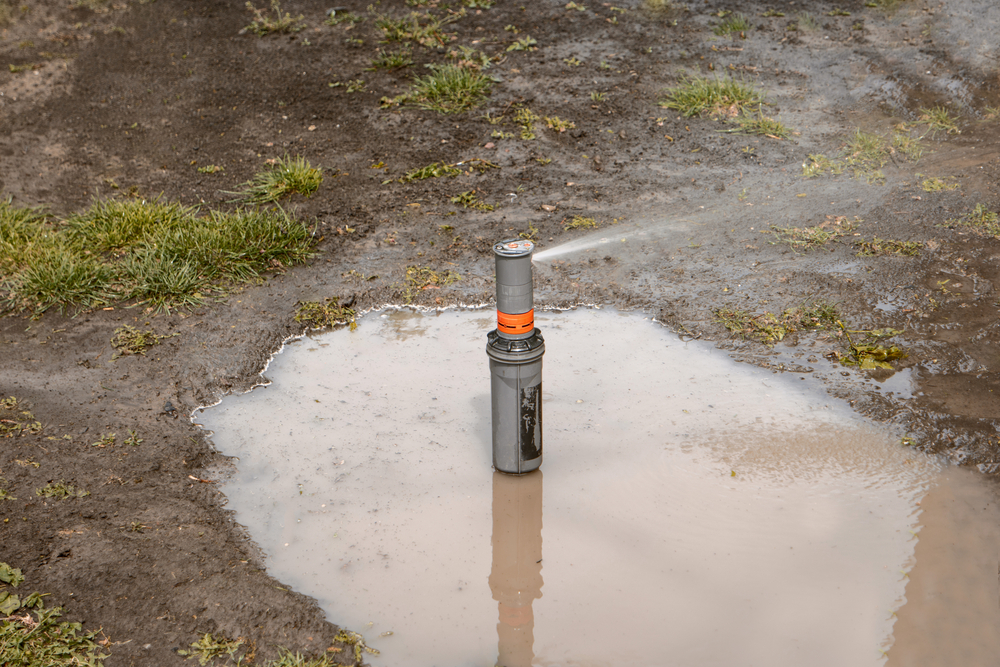 Sprinklers Leaking When Off at Mari Moore blog