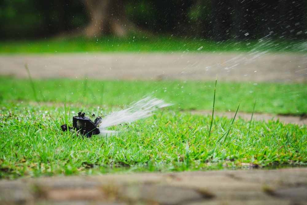Water Leak Detection Best Way To Find A Water Leak In Sprinkler System