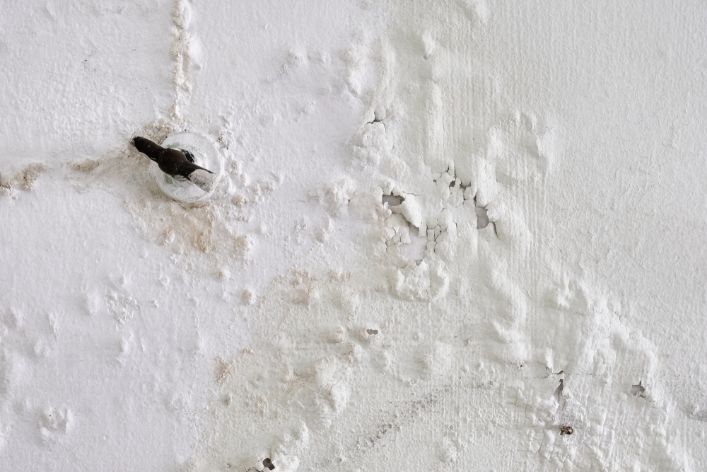 How To Tell If Pipes Are Leaking Behind A Wall? Water Leak Detection