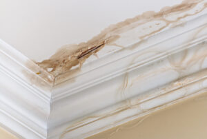 How To Tell If Pipes Are Leaking Behind A Wall? | Water Leak Detection