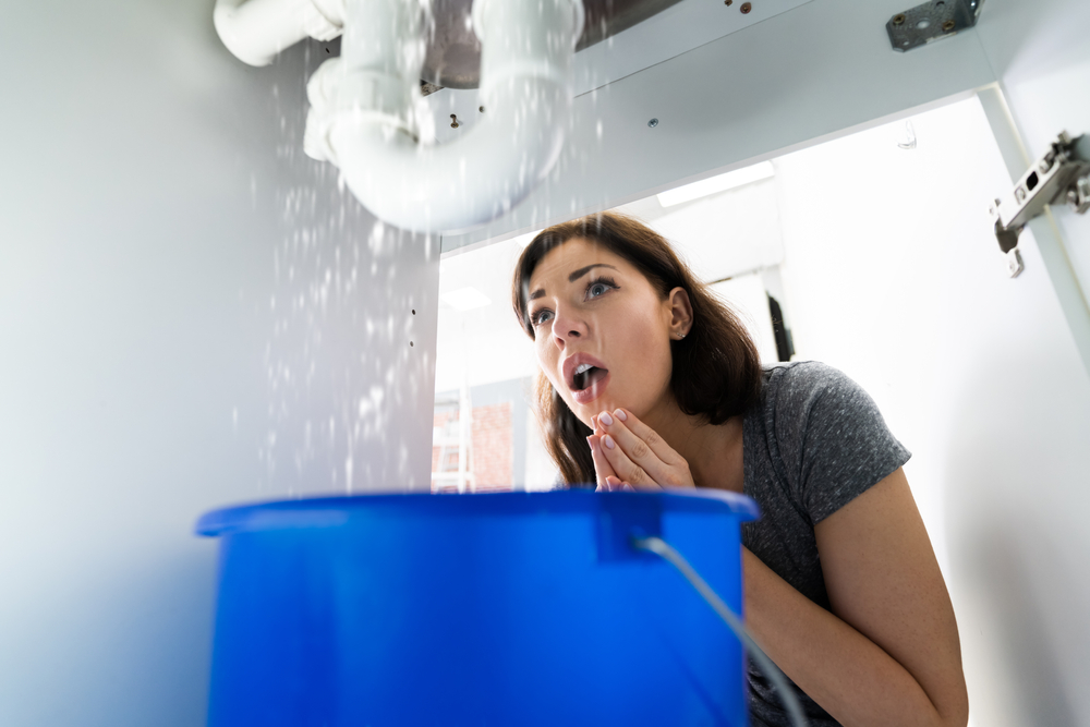 Water Leak Detection Kitchen Or Bathroom