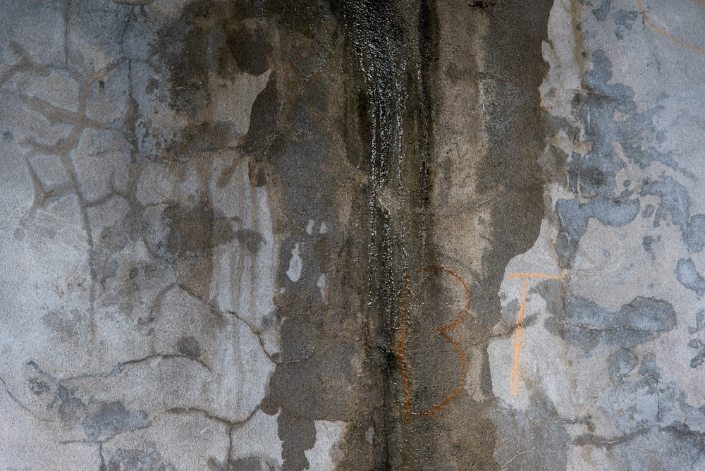 What Are Common Signs Water Leaks Concrete Slabs