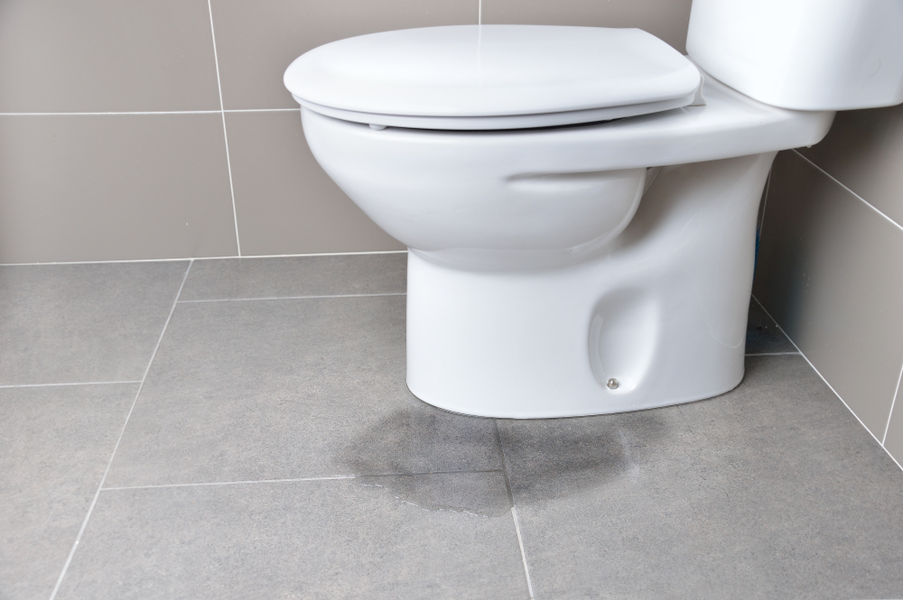 Ever Wonder How Much Water Leaking Toilet Waste