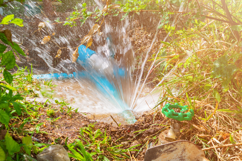 What Are The Various Dangers Of Water Leaks At Home?