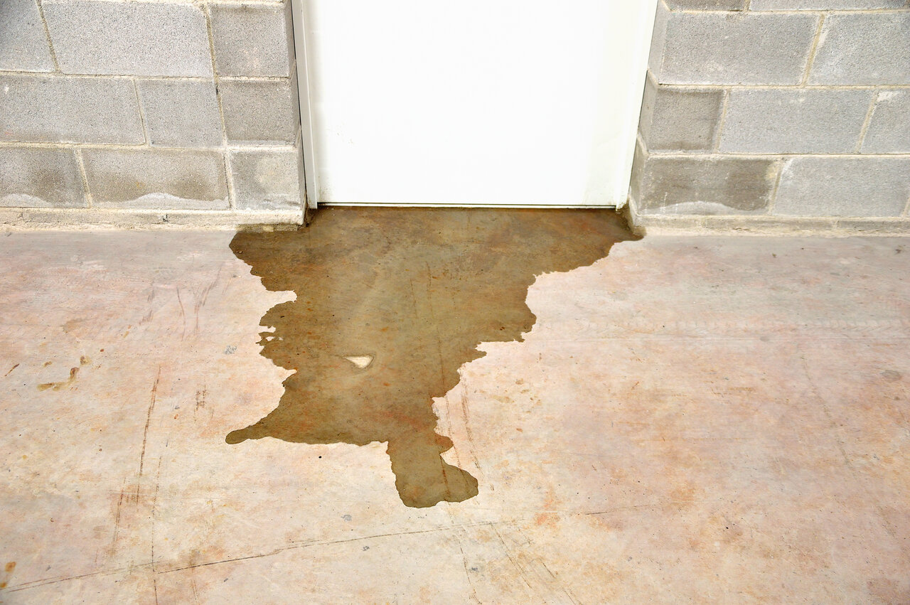 Signs You Have A Damaged Sewer Pipe