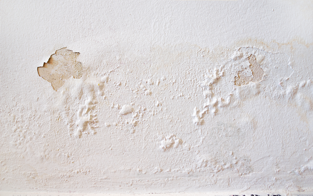 wall paint peeling off because of water leak