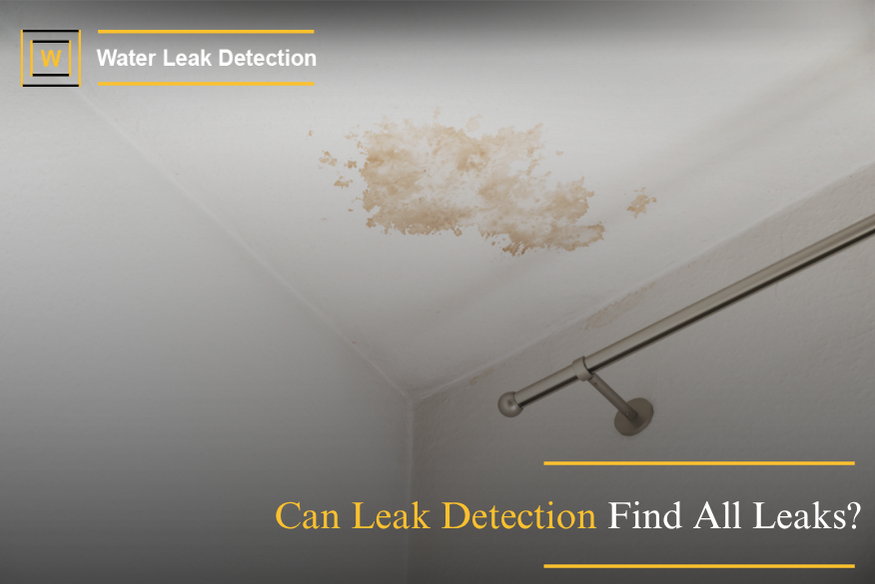 Thermal imaging detecting hidden water leak behind wall that may be difficult to identify