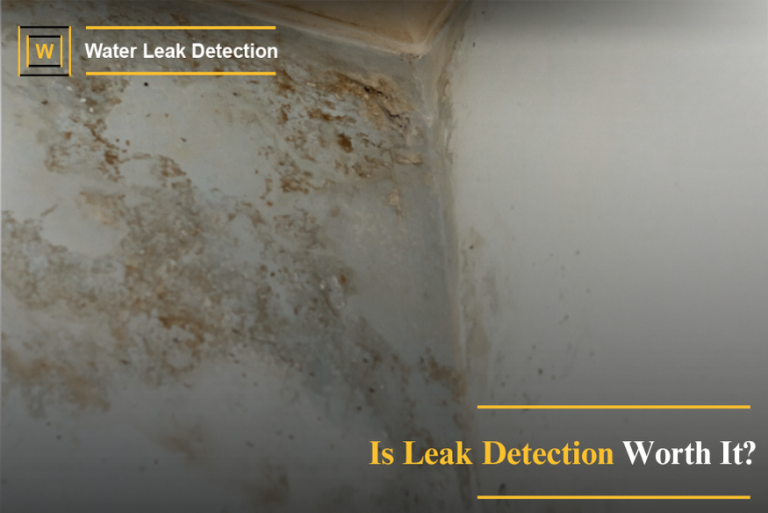 Is Leak Detection Worth It? Cost vs Value Explained