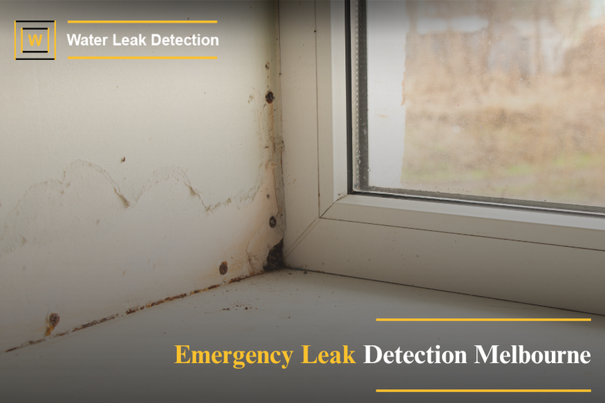 Technician responding to an emergency water leak using specialised detection tools.