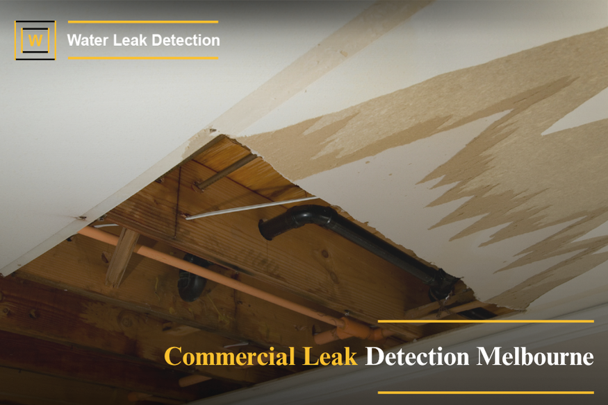 Technician performing commercial leak detection using advanced equipment to locate hidden water leaks in a large building or business facility.