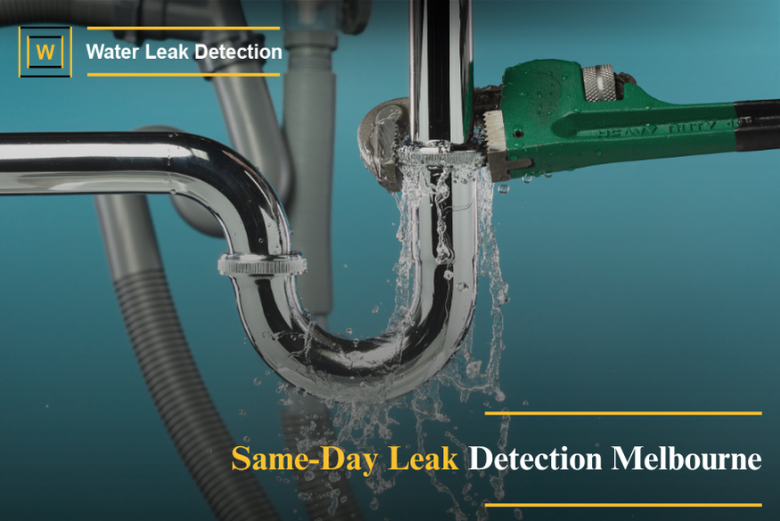 Technician providing same-day leak detection service using advanced equipment to quickly locate a hidden water leak in a Melbourne property.