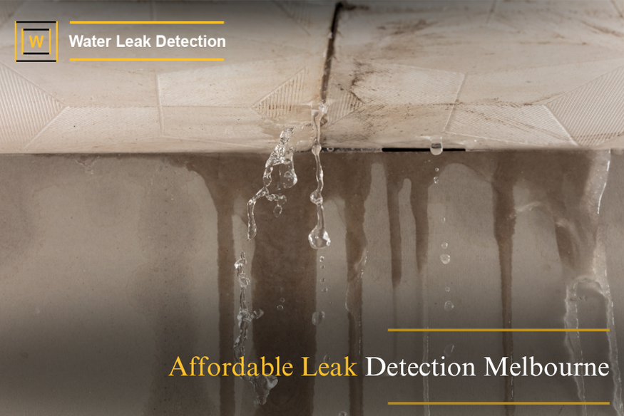 Technician performing non-invasive water leak detection using advanced equipment in Melbourne home