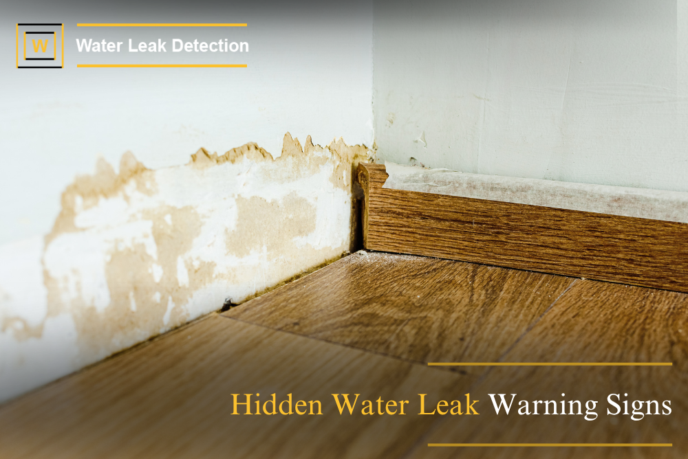 Common warning signs of hidden water leaks including wall stains, mold, peeling paint, and musty damp areas