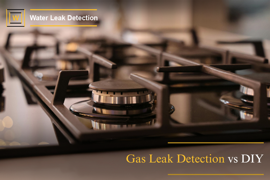 gas leak detection vs DIY comparison professional vs DIY gas leak detection safety