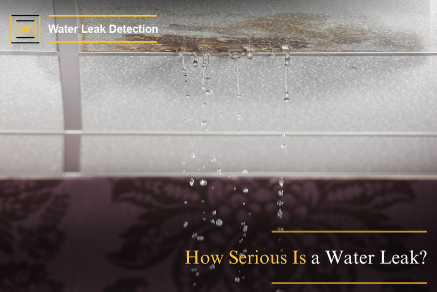 Water damage on interior wall showing damp stains and peeling paint caused by a serious hidden water leak