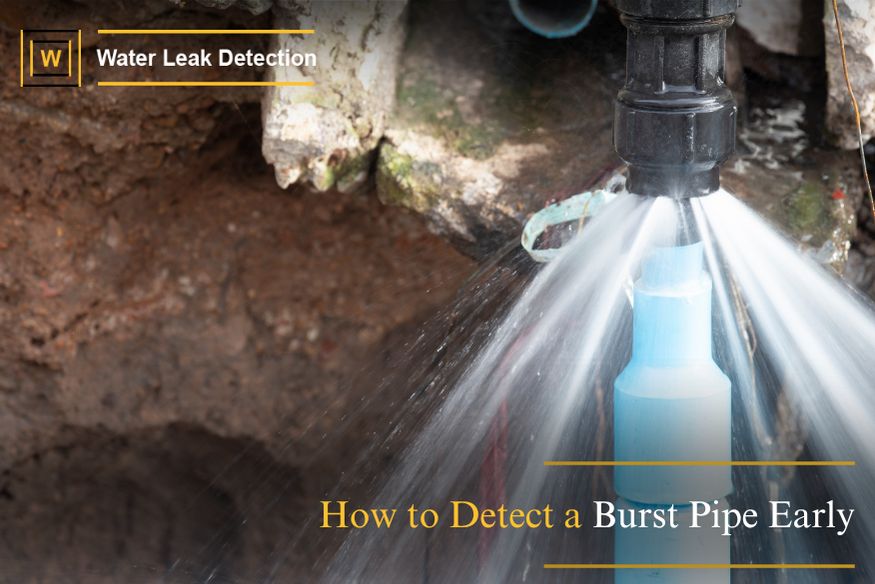 How to detect a burst pipe early with signs like water leaks, damp walls, and low pressure