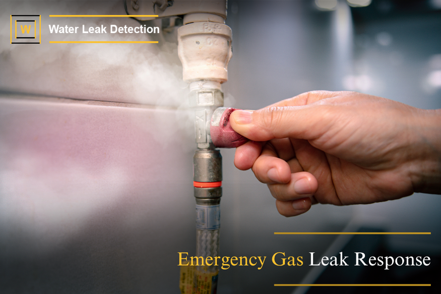 gas leak emergency response and safety procedures evacuate area and call professionals immediately
