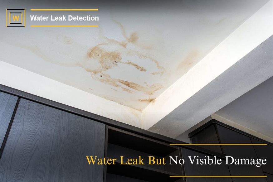Hidden water leak detection using thermal imaging with no visible surface damage