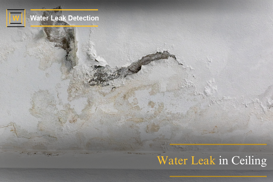 Water Leak in Ceiling