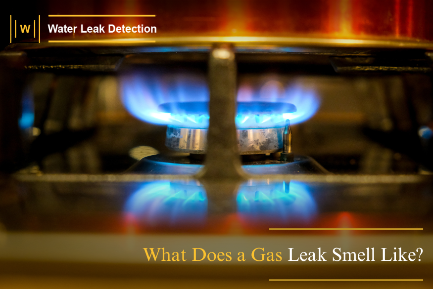 What a gas leak smells like at home with rotten egg odour and safety warning signs