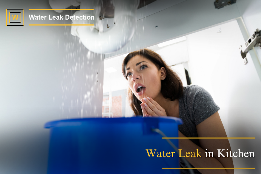Water leak under kitchen sink with visible pooling water and damaged cabinet base