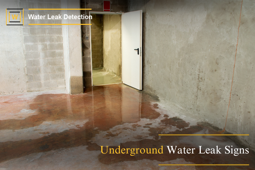 Underground Water Leak Signs